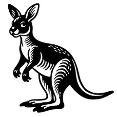 kangaroo vector illustration