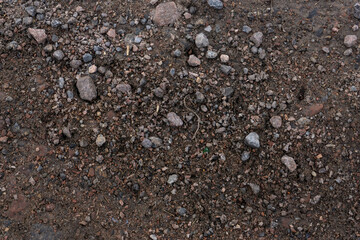 water droplets on the sand