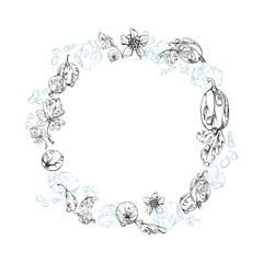 Gooseberry Currant berries flying in water splash with green leaves, flowers, dew drops ice cubes, wreath hand drawn in vector ink. Ripe garden casseille. Isolated circle frame. Fresh grocery store