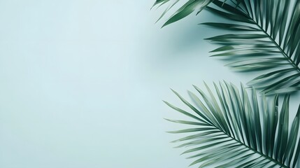 Obraz premium Peaceful palm leaves against a soft gray background