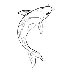Japanese fish illustration on a white background. Hand drawn koi fish. Koi carp line drawing. Japanese fish monochrome art. Korean animal black line art.