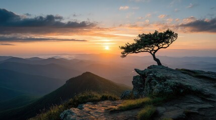 Obraz premium A lone tree standing on the edge of a mountain overlook, with the sun rising in the background over distant peaks