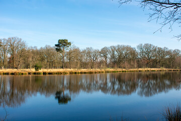 See im größten Heidegebiet Groningens in Westerwolde