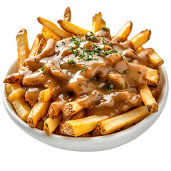 Delicious poutine with cheese curds and gravy.