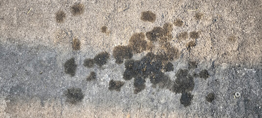 Engine oil dripping on the road