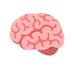human brain vector illustration