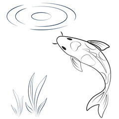 Japanese fish illustration on a white background. Hand drawn koi fish. Koi carp line drawing. Fish under water monochrome art. Animal coloring.