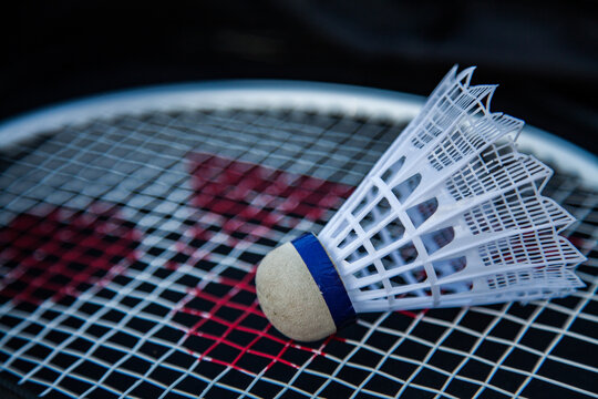 Racquet and shuttlecock for playing badminton
