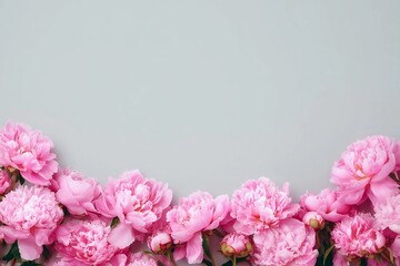 Delicate Pink Peonies Gracefully Adorn a Soft Gray Background in Springtime Beauty Generative AI