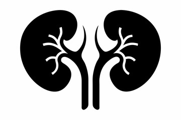 kidneys silhouette line art vector illustration with a white background