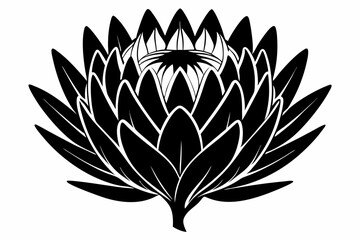 king protea flower silhouette line art vector illustration with a white background