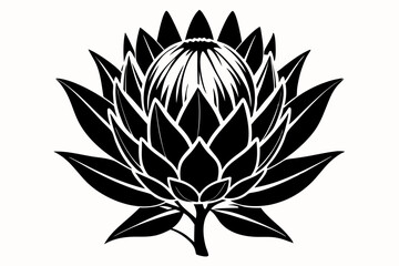 king protea flower silhouette line art vector illustration with a white background