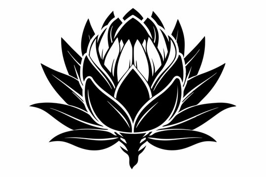 king protea flower silhouette line art vector illustration with a white background