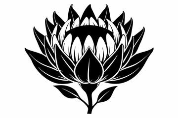 king protea flower silhouette line art vector illustration with a white background