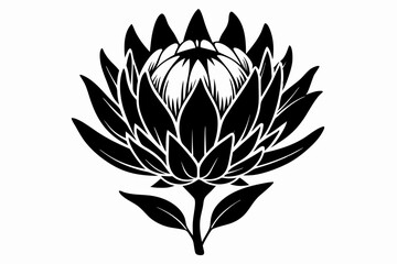 king protea flower silhouette line art vector illustration with a white background
