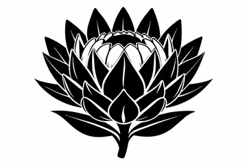 king protea flower silhouette line art vector illustration with a white background