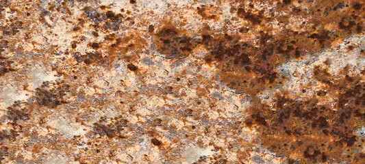 Rust on the iron door for the background. old peeling paint on rusty gates.