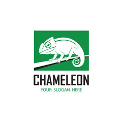chameleon reptile icon isolated on white background