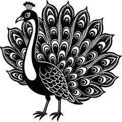 peacock feather vector illustration © Mahbub