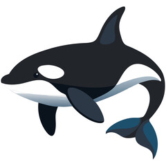 Naklejka premium Orca whale cartoon marine vector illustration 