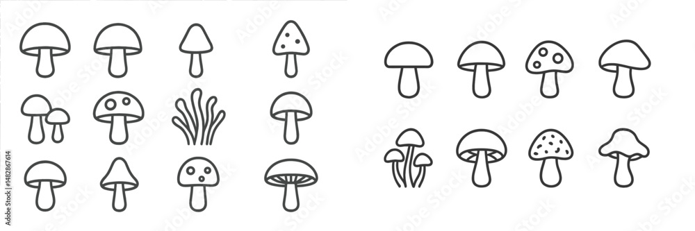 Poster collection of hand-drawn mushroom illustrations showcasing different species and styles in black and