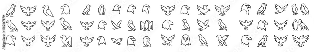 Poster Collection of bird illustrations in various poses and styles showcasing intricate designs and diversity
