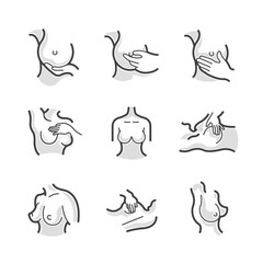 Vector Icon Sets Collection: Medical, Technology, Education, Nature & More