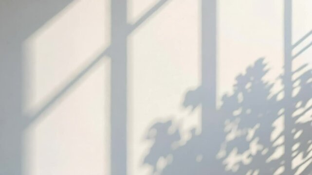 Serene Sunlight Shadows on a White Wall Background featuring delicate plant shadows and window frame silhouettes ideal for overlay or design projects.
