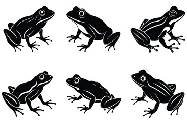Cute green cartoon frog and toad animal illustration, isolated