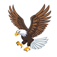 bald eagle in flight