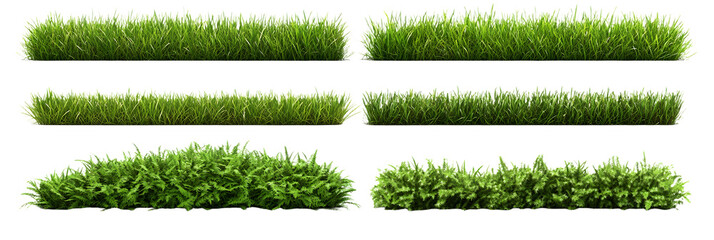 Collection of green grass borders, seamless horizontally, isolated on white background. 3D render. 3D illustration.