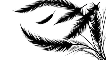Obraz premium Elegant black feather silhouettes, abstract & decorative, perfect for design elements, sign, silhouette