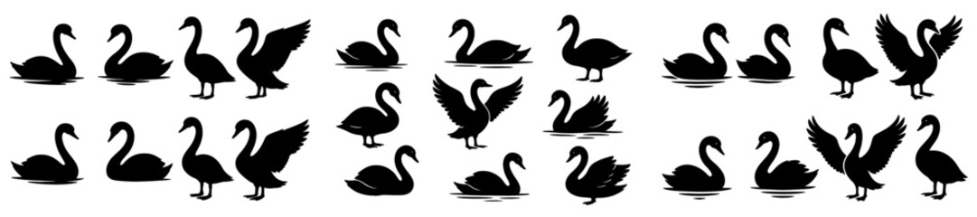 Silhouettes of swans swimming and resting on water with varying poses captured at sunset in a tranquil setting