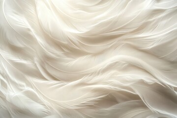 Obraz premium Soft white feathers create a gentle, flowing, and textured background. Use this image to convey concepts of purity, lightness, and peacefulness.