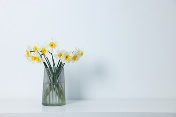 Beautiful daffodils in vase on white table indoors, space for text