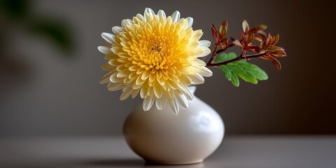 Golden bloom in a glossy vase