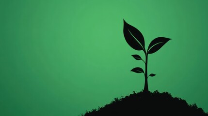 Green sprout growing from the ground, environmental concept, nature background.