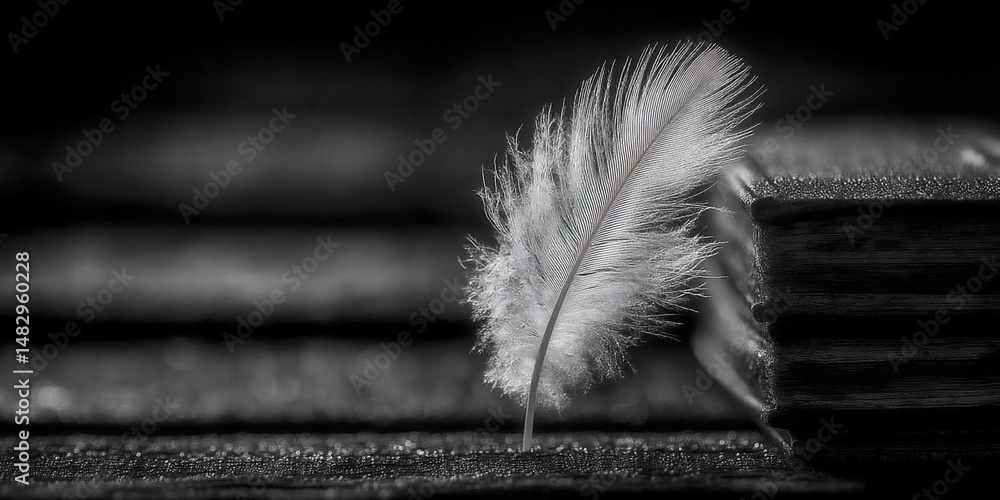 Poster dark and atmospheric still life photograph of a stack of books with a single white feather gently re