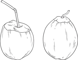 Coconut vector illustration set. Includes whole coconuts, opened coconuts, and coconut drinks with straws. Simple line art for tropical themes.