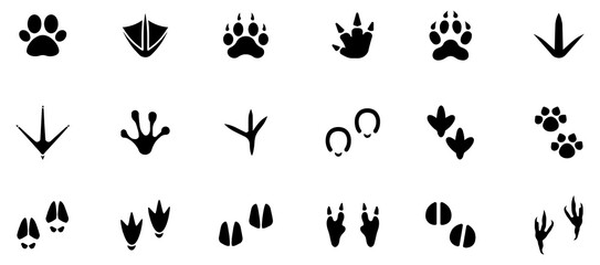 Animals paw prints. Cartoon mammal footprints, black bird foot. Wild animal feet silhouette. EPS 10