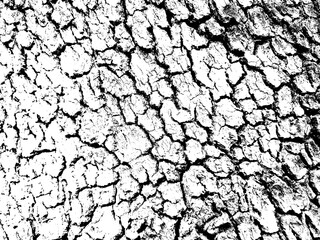 Abstract grunge black and white distressed texture overlay effect design element, noise background