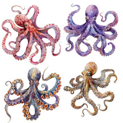 Watercolor octopus. A clipart on a transparent background.

