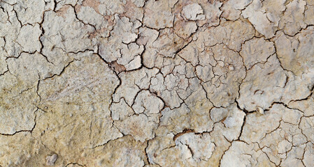 The ground has cracks in the top view for the background