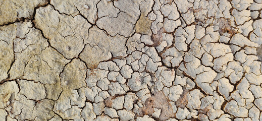 The ground has cracks in the top view for the background