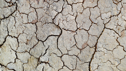 The ground has cracks in the top view for the background