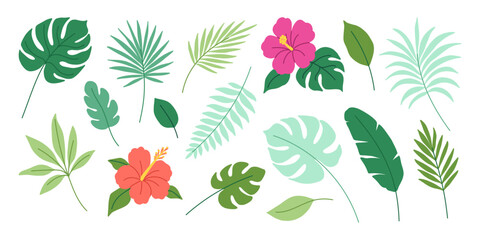 A collection of tropical plants and flowers, including a red flower with a yellow center. The flowers are arranged in a variety of sizes and shapes, creating a sense of movement and diversity