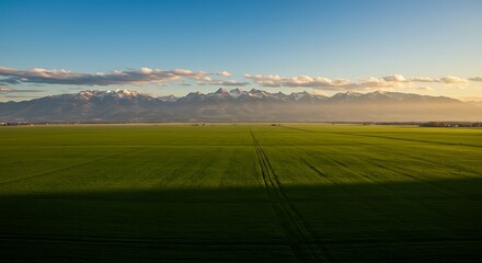 Obraz premium Golden Hour's Embrace