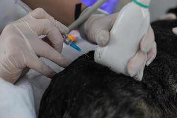 A veterinarian wearing gloves using an ultrasound scanner while performing a biopsy on a dog at a veterinary clinic. Performing a diagnostic procedure to accurately diagnose and treat a dog.