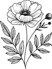 Line drawing of various flowers vector, clipart, transparent, png, element