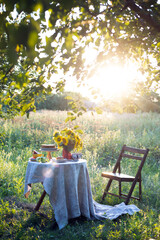 garden and still life